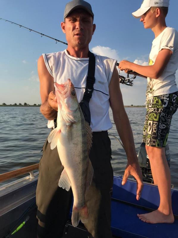 Сом и судак, прекрасная рыбалка в июле, преимущественно на троллинг.