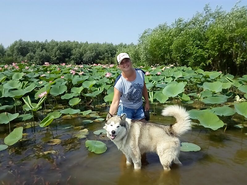 Лотосы, Богдо и Баскунчак.