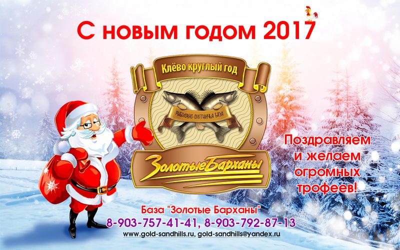 С Новым 2017 Годом!