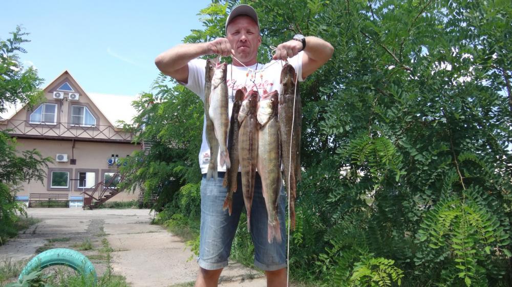 Цена рыбы на базаре в Астрахани