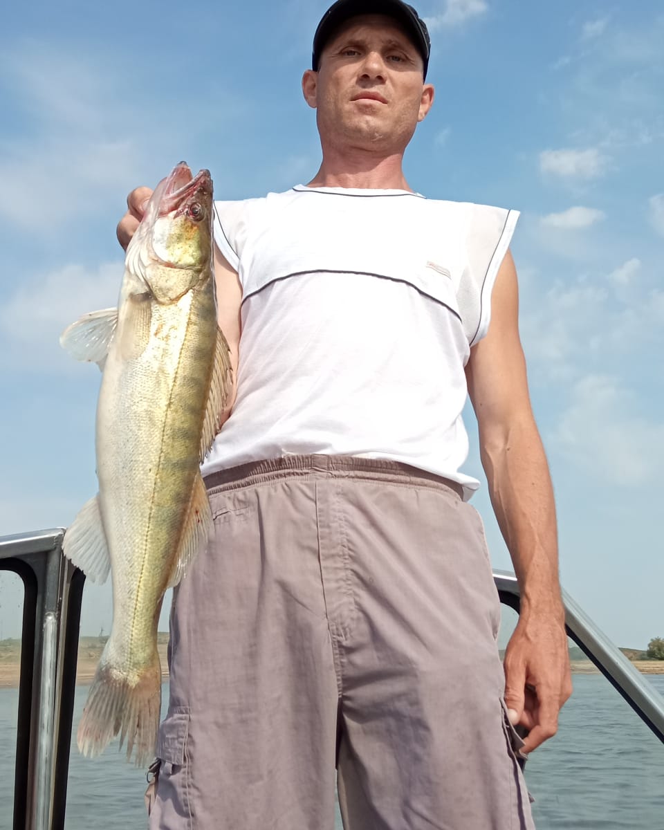 Сом и судак, прекрасная рыбалка в июле, преимущественно на троллинг.