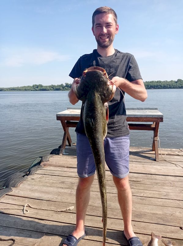 Сом и судак, прекрасная рыбалка в июле, преимущественно на троллинг.