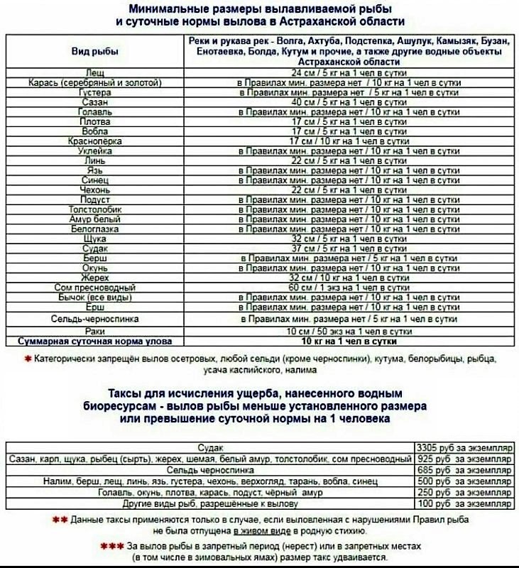 Нормы вылова и нормы вывоза рыбы 2019 Нормы вылова и нормы вывоза рыбы 2019